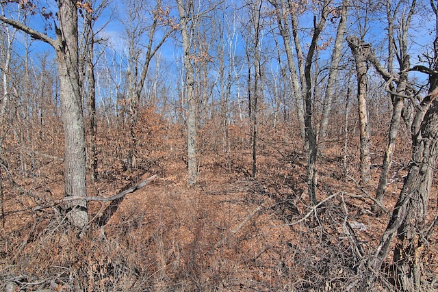 TBD 4th Ave, Breezy Point, MN 56472