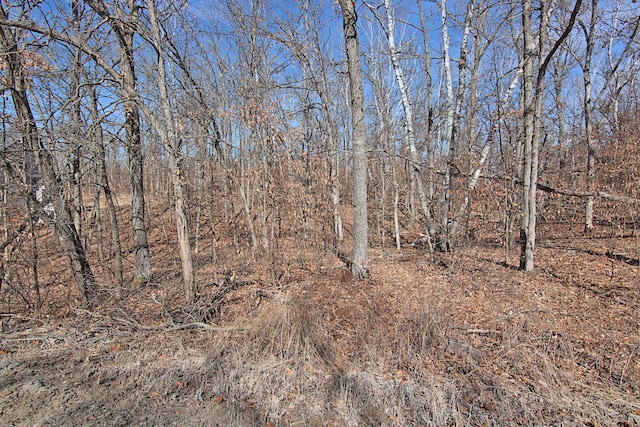 TBD 4th Ave, Breezy Point, MN 56472