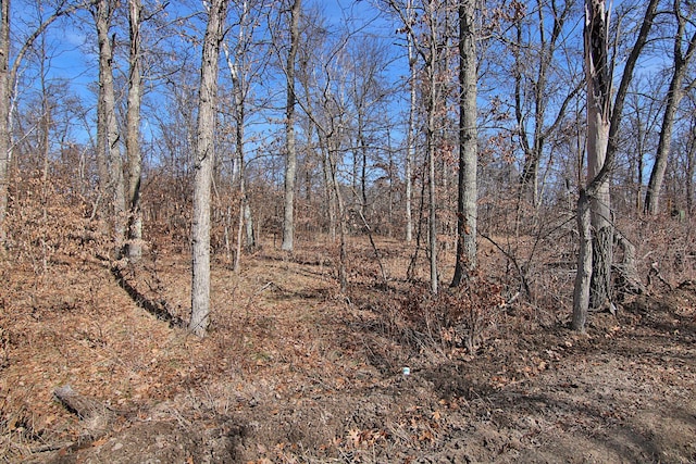 TBD 4th Ave, Breezy Point, MN 56472 - photo 24