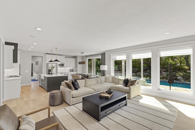9195 Eagle Ridge Rd, Chanhassen, MN 55317 - living room featuring light wood-style flooring and recessed lighting