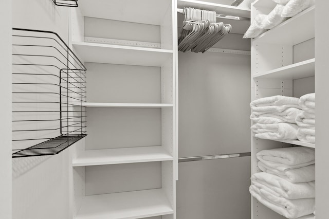9195 Eagle Ridge Rd, Chanhassen, MN 55317 - view of walk in closet