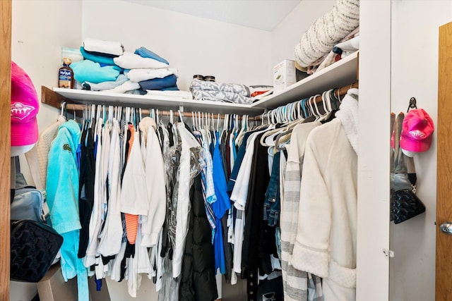 view of walk in closet