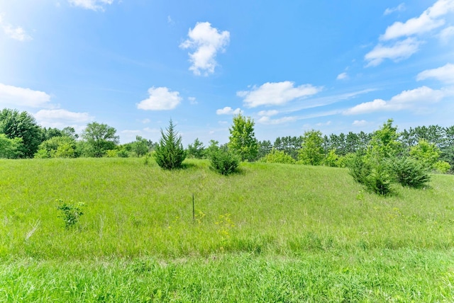 30901 724th Ave, Kingston, MN 55325 - photo 7