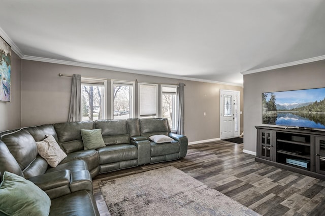 living area featuring crown molding, baseboards, and wood finished floors