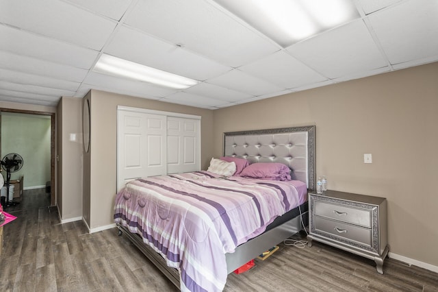 bedroom with a closet, a paneled ceiling, and wood finished floors