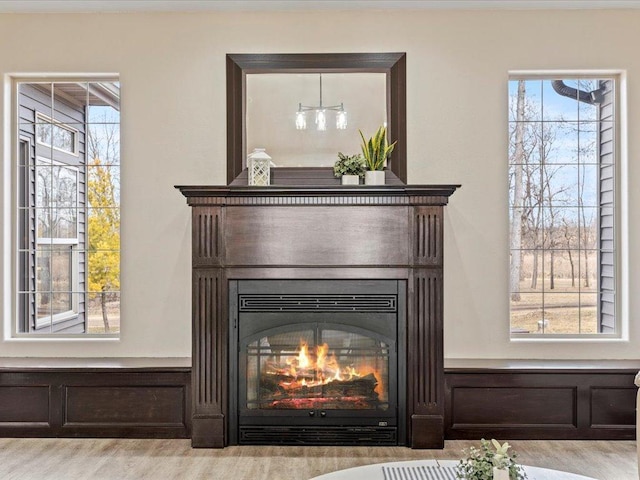 interior details with a glass covered fireplace and wood finished floors