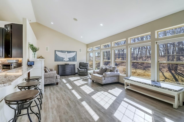 46747 Poss Beach Rd, Pelican Rapids, MN 56572 - living room with high vaulted ceiling, healthy amount of natural light, and light wood finished floors