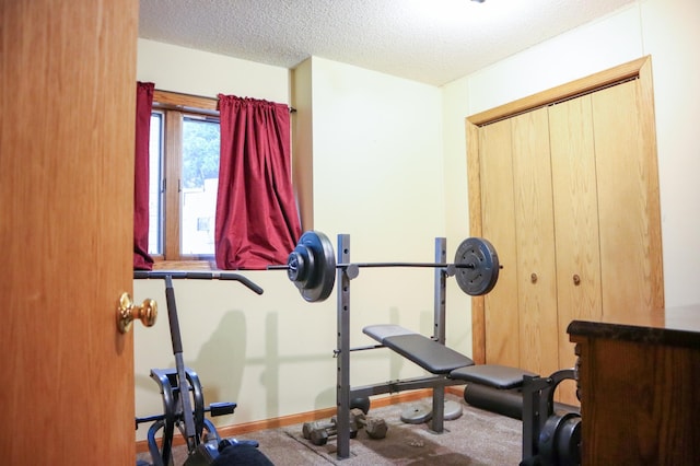 13720 Georgia Dr, Apple Valley, MN 55124 - workout room with a textured ceiling and carpet flooring
