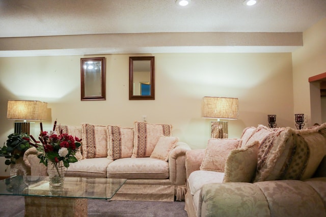 13720 Georgia Dr, Apple Valley, MN 55124 - living room featuring recessed lighting