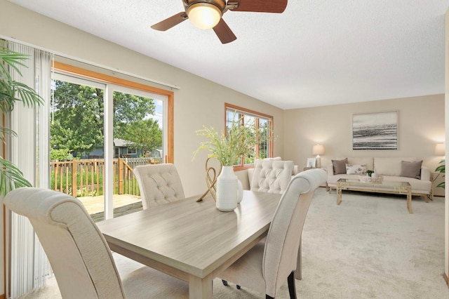 209 Dennison Ave, Shoreview, MN 55126 - photo 8