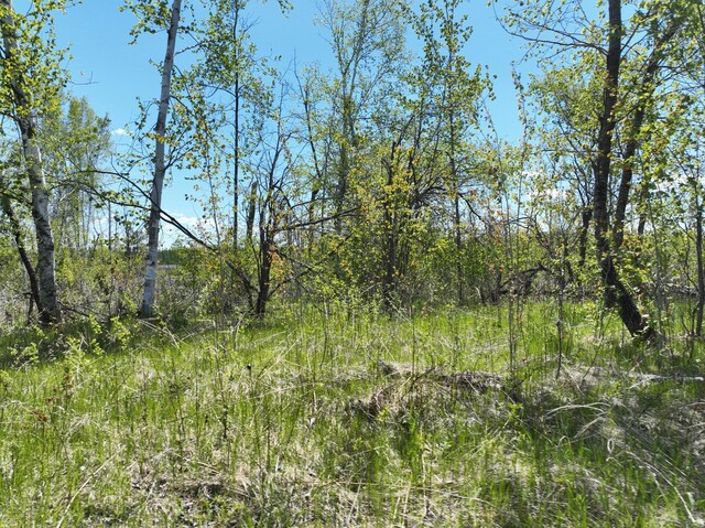 000 Koecher Rd, Kerrick Twp, MN 55756