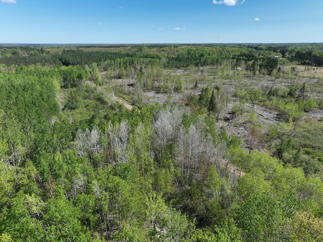 000 Koecher Rd, Kerrick Twp, MN 55756