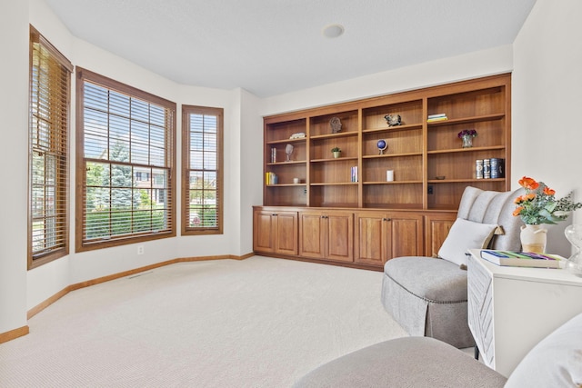 17397 73rd Pl N, Maple Grove, MN 55311 - sitting room with light colored carpet and baseboards