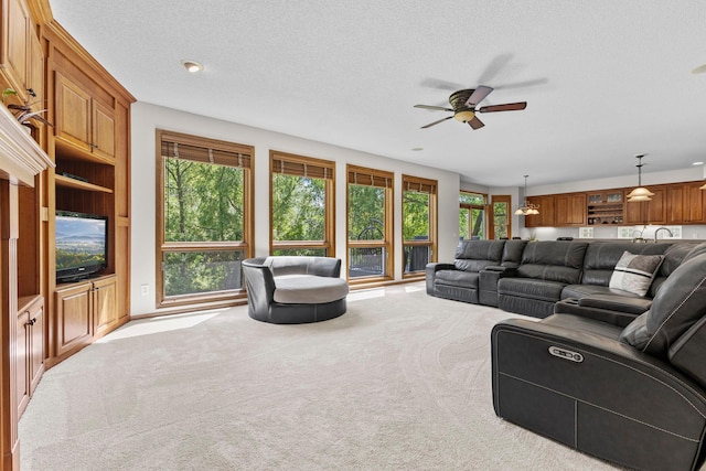 17397 73rd Pl N, Maple Grove, MN 55311 - carpeted living area with a ceiling fan and a textured ceiling