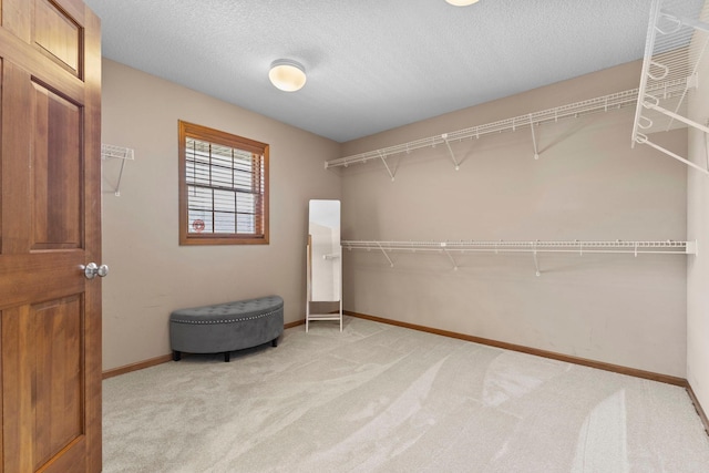 17397 73rd Pl N, Maple Grove, MN 55311 - spacious closet featuring light carpet