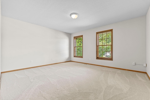 17397 73rd Pl N, Maple Grove, MN 55311 - empty room featuring light colored carpet and a textured ceiling