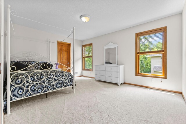 17397 73rd Pl N, Maple Grove, MN 55311 - carpeted bedroom with multiple windows