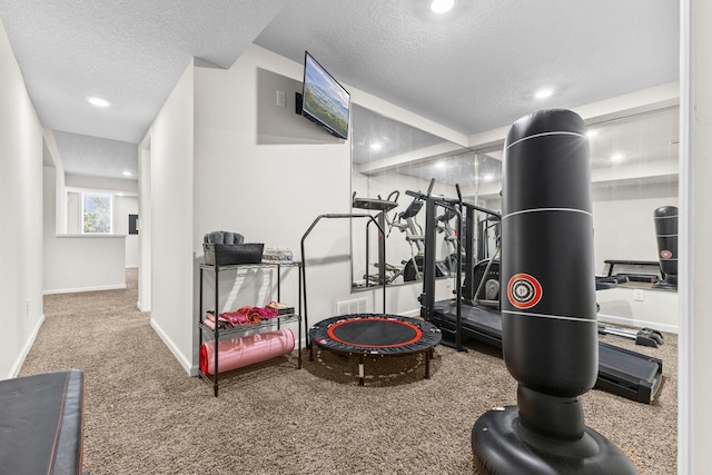 17397 73rd Pl N, Maple Grove, MN 55311 - workout room with a textured ceiling, recessed lighting, and carpet floors