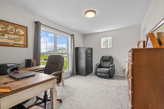 941 Whiskey Rd NW, Isanti, MN 55040 - office featuring carpet and baseboards