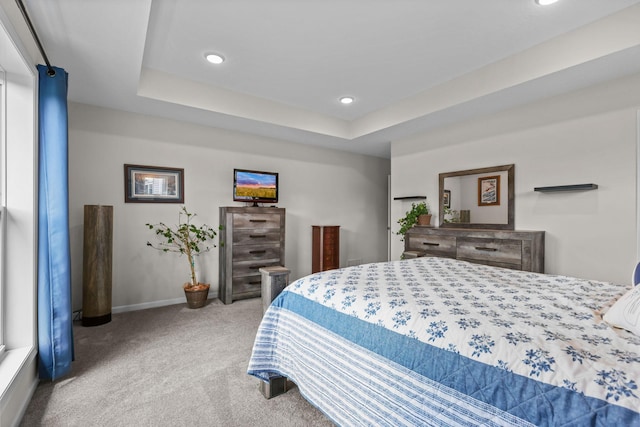 941 Whiskey Rd NW, Isanti, MN 55040 - bedroom with carpet floors, recessed lighting, baseboards, and a raised ceiling