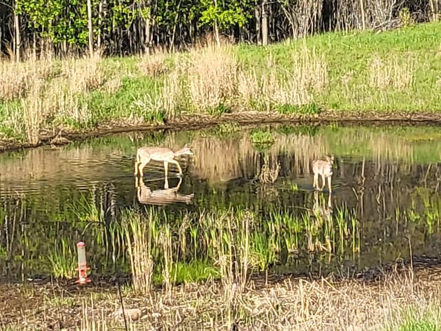 941 Whiskey Rd NW, Isanti, MN 55040 - water view