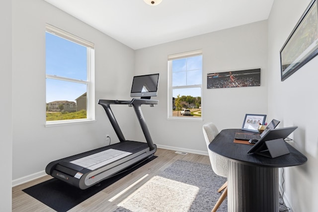 6767 Bluestem Way, Minnetrista, MN 55331 - workout room featuring wood finished floors and baseboards