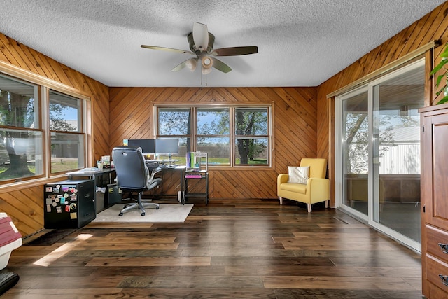 10379 County Road 8, Maine Prairie Twp, MN 55353 - photo 13