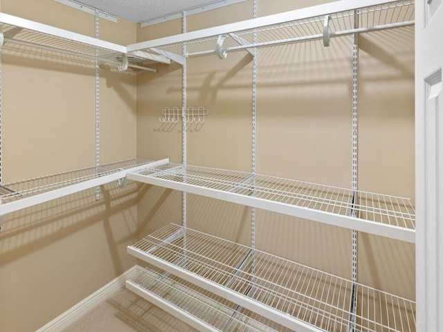 7605 Edinborough Way Unit 6314, Edina, MN 55435 - view of walk in closet