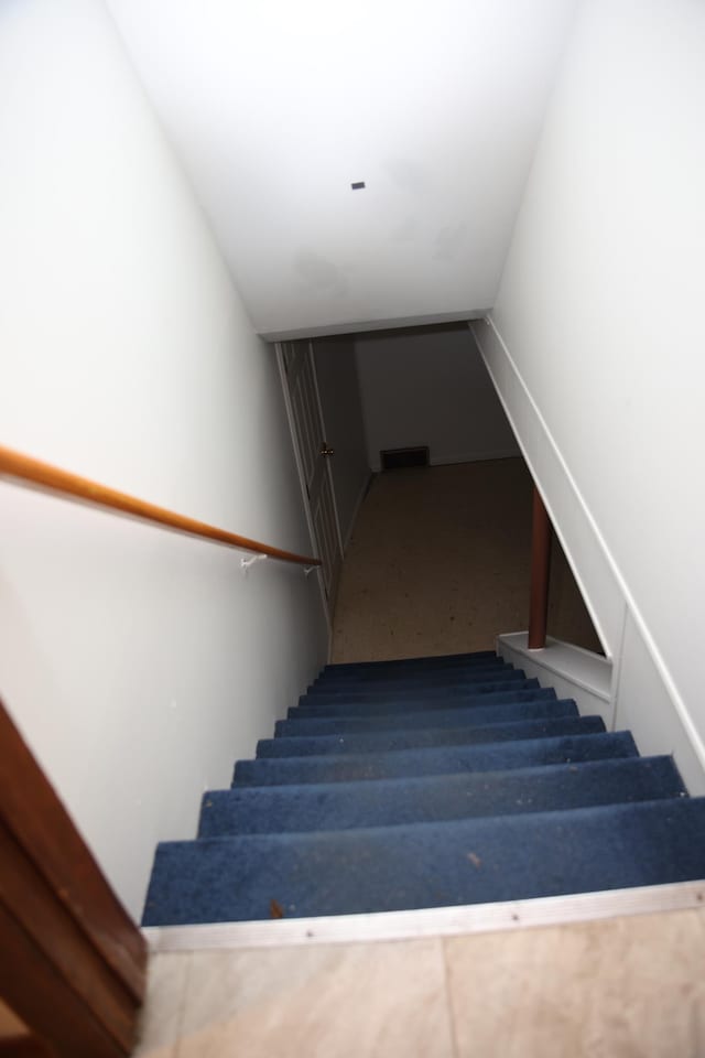 staircase featuring carpet