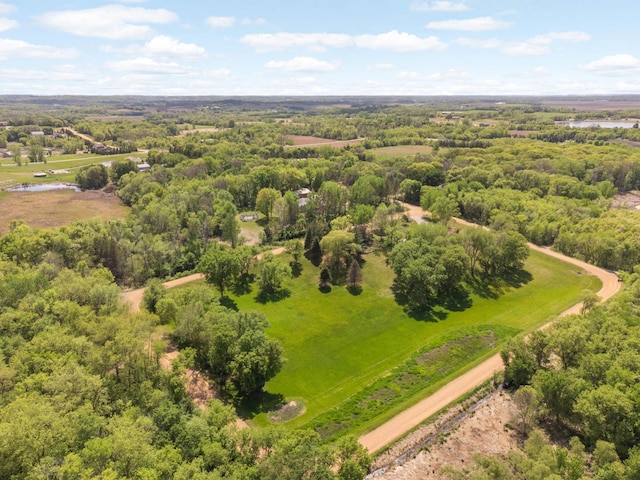 aerial view of a forest