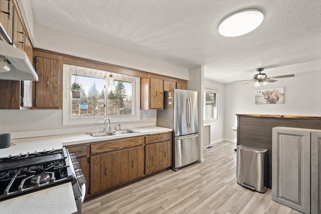 2510 152nd Ln NE, Ham Lake, MN 55304 - kitchen featuring light countertops, light wood-type flooring, appliances with stainless steel finishes, and a sink
