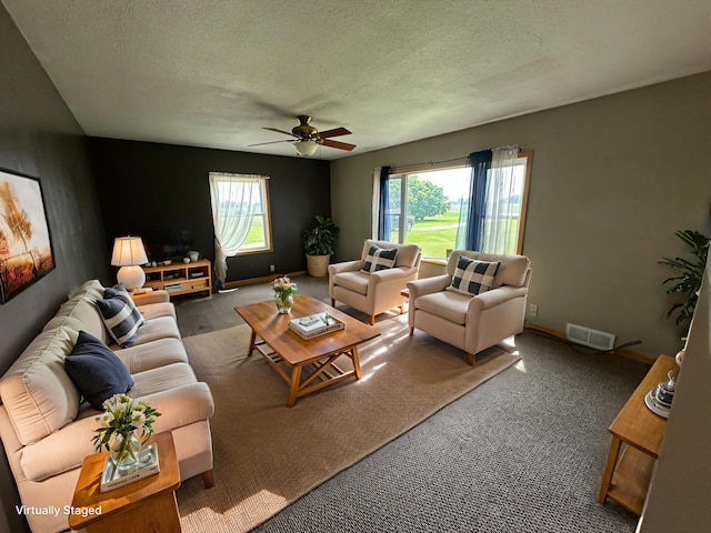 10855 150th St NE, Spicer, MN 56288 - carpeted living area with a textured ceiling, a ceiling fan, and plenty of natural light