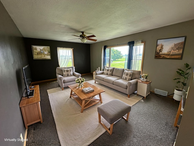 10855 150th St NE, Spicer, MN 56288 - living room featuring a textured ceiling, plenty of natural light, a ceiling fan, carpet flooring, and baseboards