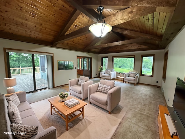 6480 Long Lake Rd, Willmar, MN 56201 - living room with wood ceiling, light carpet, and plenty of natural light