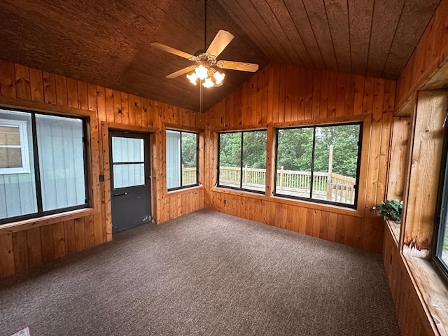 6480 Long Lake Rd, Willmar, MN 56201 - unfurnished sunroom with lofted ceiling
