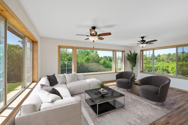 33373 Lakes Trl, Chisago Lake Twp, MN 55045 - living room with wood finished floors, ceiling fan, and baseboards