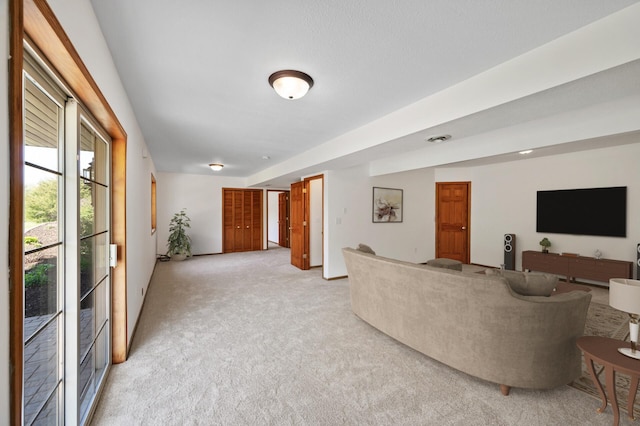 33373 Lakes Trl, Chisago Lake Twp, MN 55045 - living room featuring light carpet