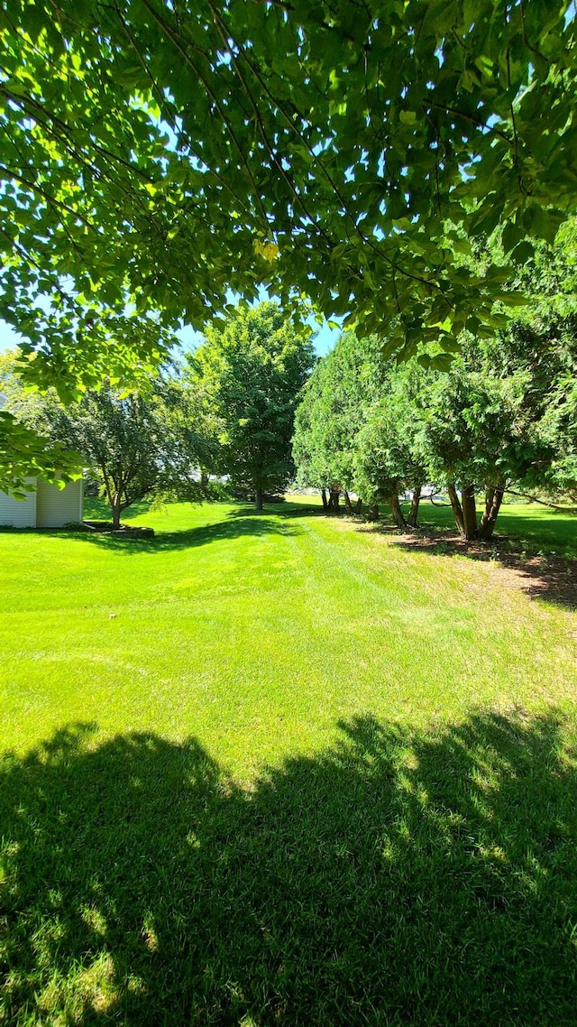 1404 19th Ave NW, Faribault, MN 55021 - view of green lawn