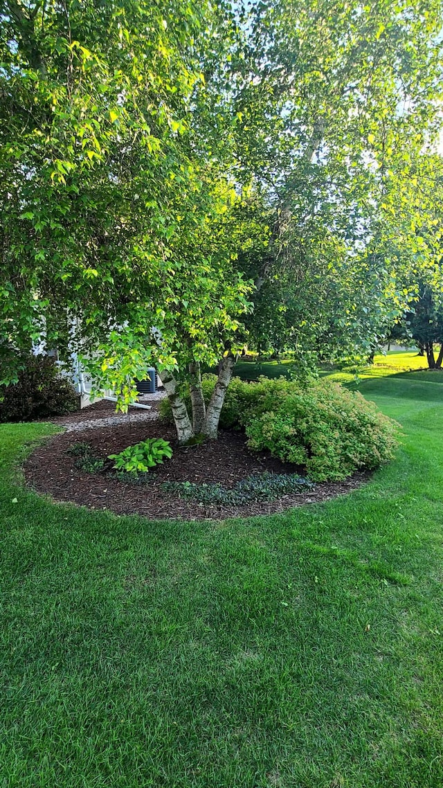 1404 19th Ave NW, Faribault, MN 55021 - view of green lawn