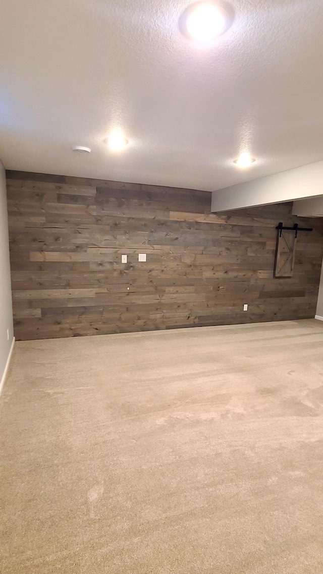 1404 19th Ave NW, Faribault, MN 55021 - finished basement featuring carpet flooring, wooden walls, and a textured ceiling