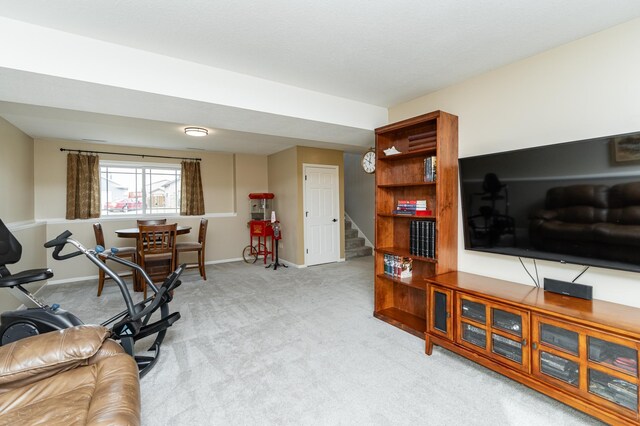 4846 Lionhart Dr NW, Rochester, MN 55901 - exercise area featuring baseboards and light carpet
