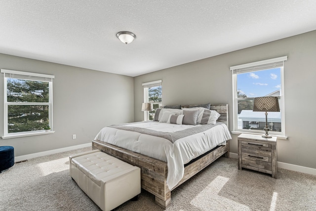 12972 Bauer Dr N, Champlin, MN 55316 - bedroom featuring multiple windows, carpet floors, baseboards, and a textured ceiling