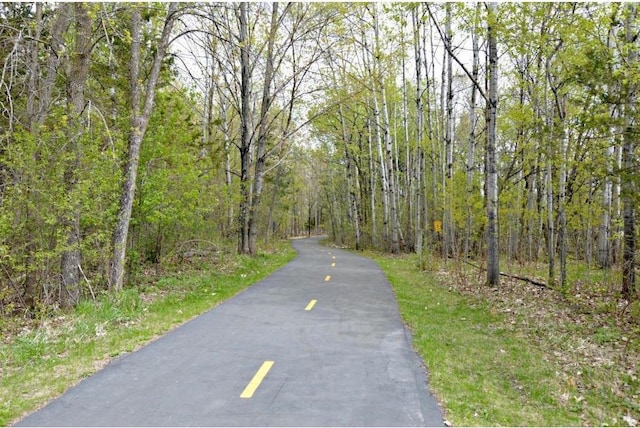 12972 Bauer Dr N, Champlin, MN 55316 - view of asphalt street with a wooded view