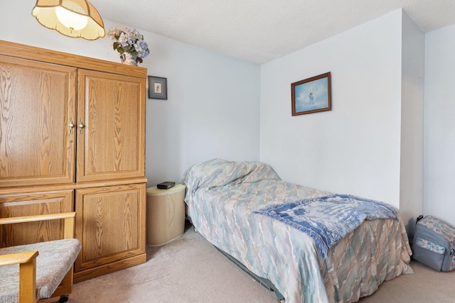 3640 Flowerfield Rd, Lexington, MN 55014 - photo 11