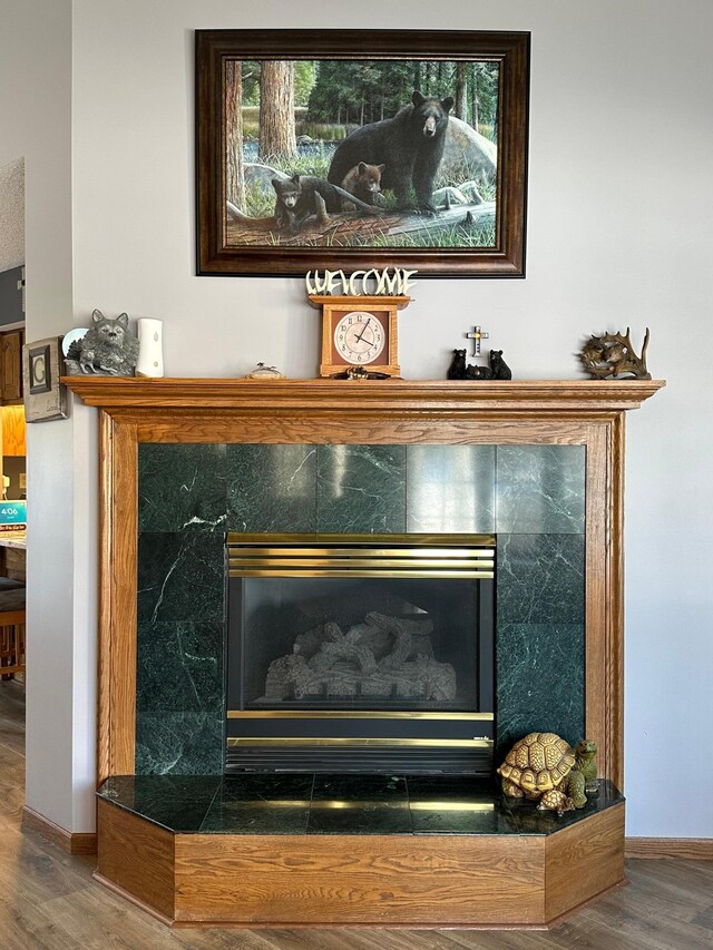 details with a high end fireplace, baseboards, and wood finished floors