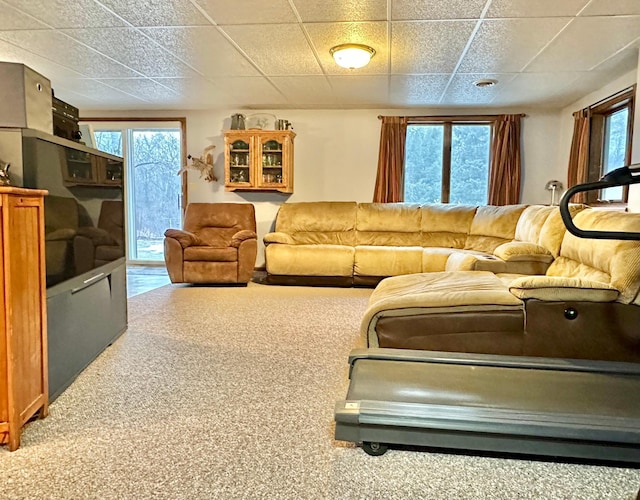 living room with carpet floors, plenty of natural light, and a paneled ceiling