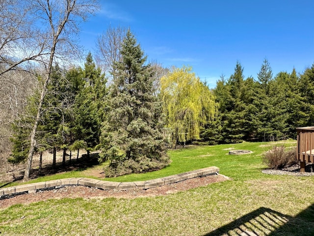 view of yard with a fire pit
