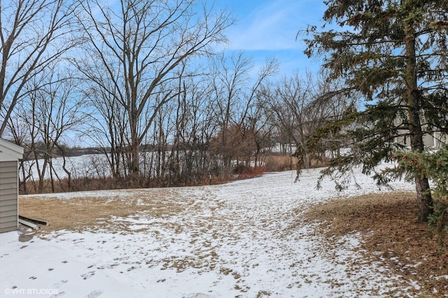 3040 Shields Dr Unit 102, Eagan, MN 55121 - view of yard covered in snow