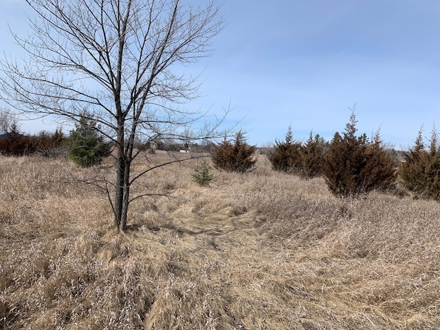 view of nature with a rural view