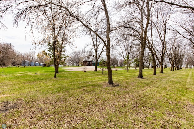301 3rd Ave S, Borup, MN 56519 - view of yard
